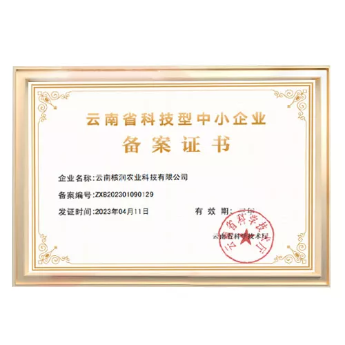 云南省科技型中小企业