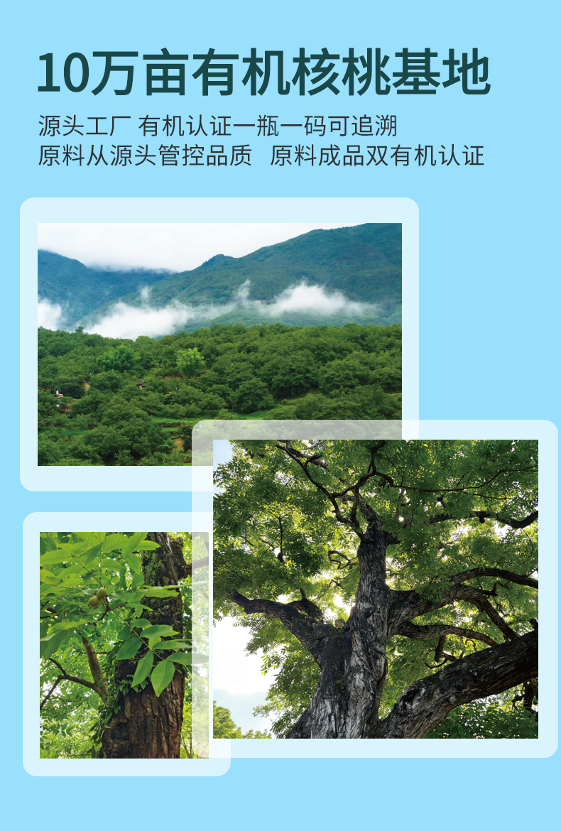 邀请函_07.png